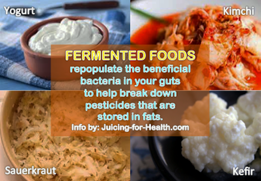 fermented-foods.png